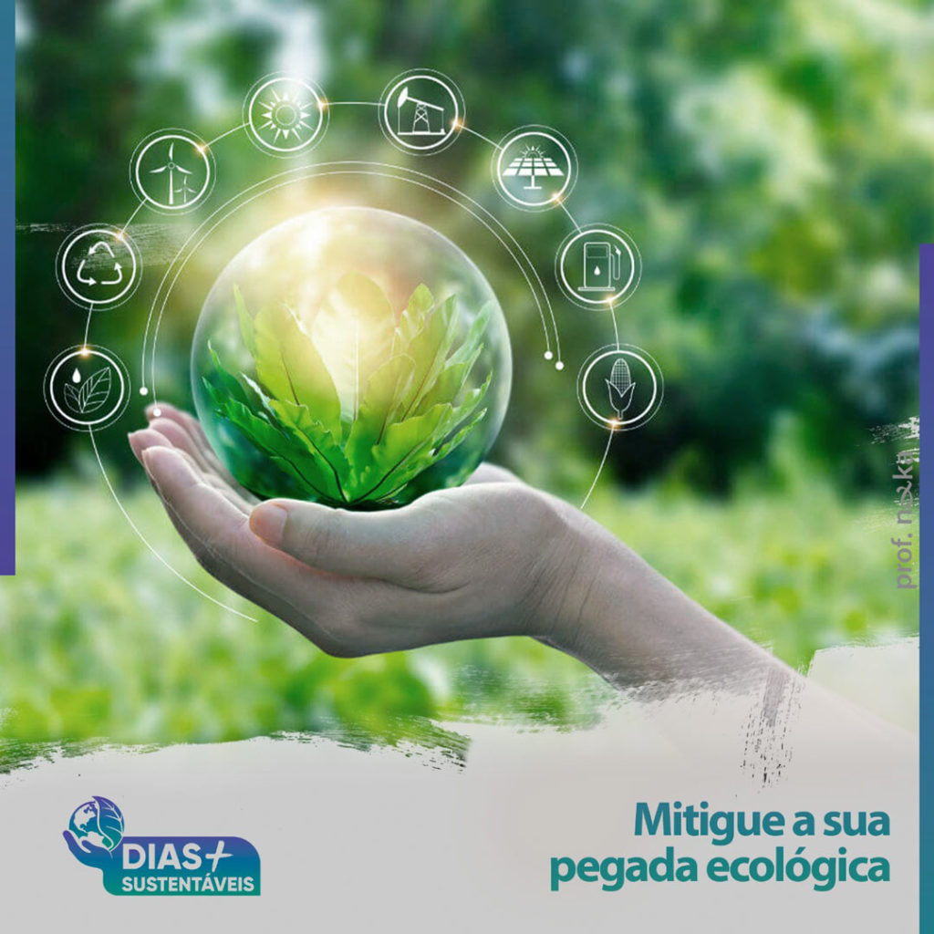 Mitigue a sua pegada ecológica