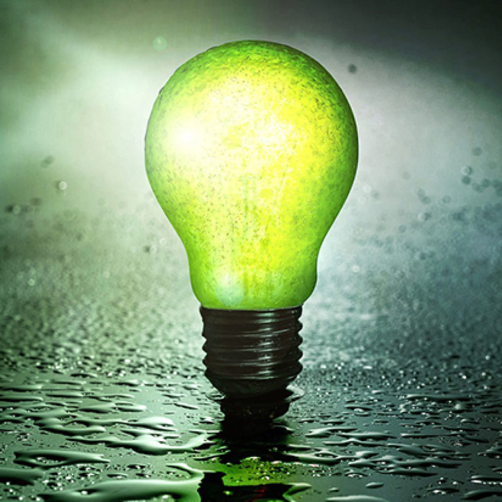 Empreendedorismo na economia verde