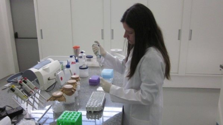 Saúde das abelhas é pesquisada em Laboratório da Secretaria de Agricultura e Abastecimento de SP
