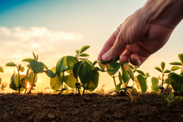 Parceria inédita no mercado agrícola para operação com crédito de descarbonização (CBIOs)