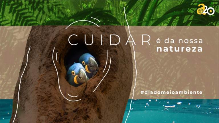 Instituto Akatu dá dicas de consumo consciente para cuidarmos da natureza no Dia Mundial do Meio Ambiente