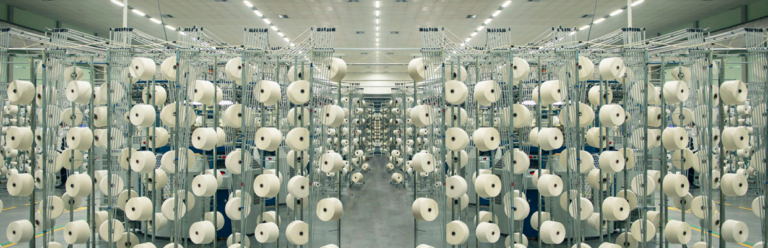 Varejista cria Instituto para fortalecer cadeia produtiva do Nordeste 