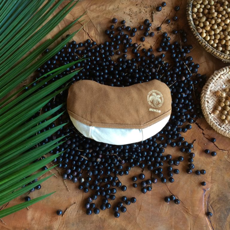Caroços de Açaí viram Bolsa Térmica Natural e ajudam a proteger a Mata Atlântica