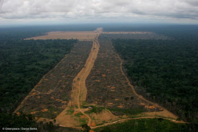 DETER confirma recorde de desmatamento em maio: 67% de aumento
