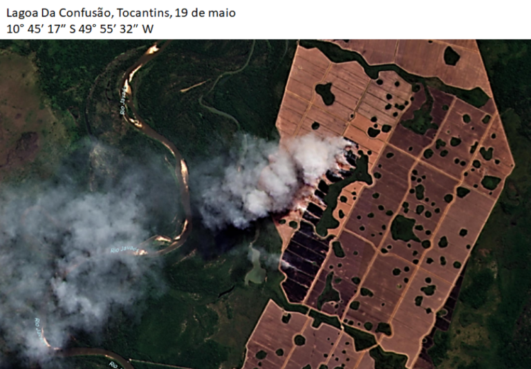 Maio registra maior número de queimadas na Amazônia e Cerrado desde 2007