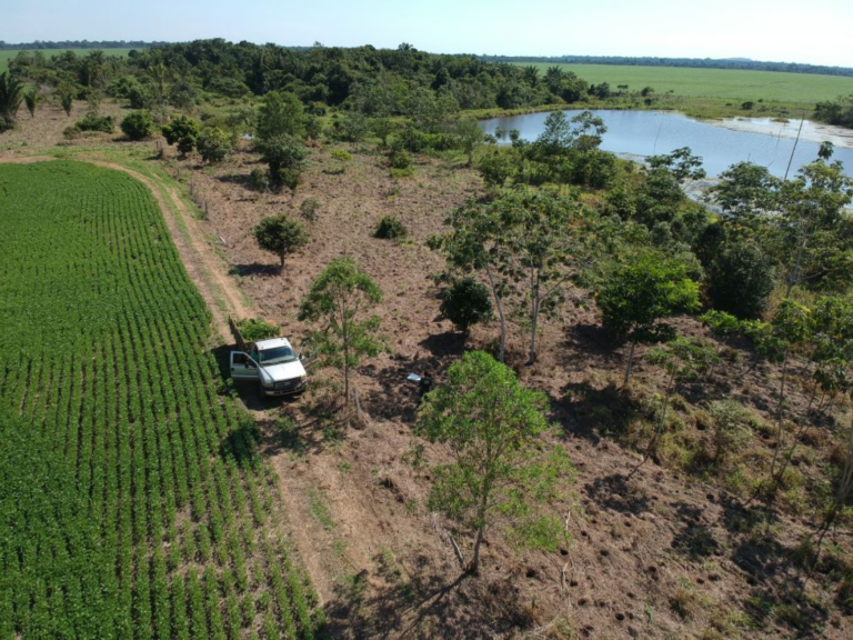 Locadora de carros trabalha no reflorestamento do Corredor de Biodiversidade do Araguaia
