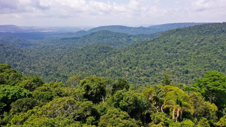 Simpósio internacional sobre inovação e sustentabilidade na Amazônia começa nesta terça