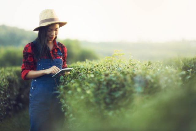 Empresa de pagamentos lança Laboratório global de Inovação em Sustentabilidade