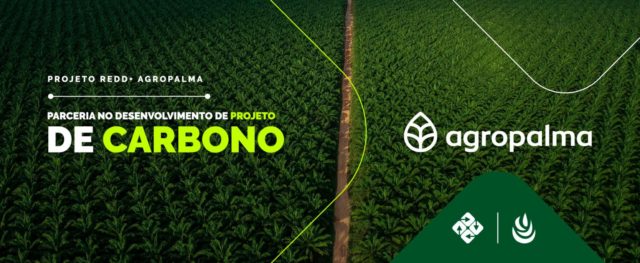 Agropalma e Biofílica iniciam parceria para desenvolvimento de projeto de carbono