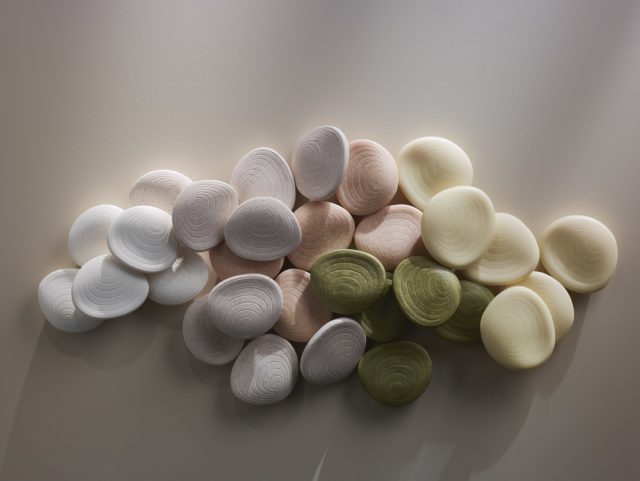 Nova marca de produtos em barra propõe outra lógica de consumo e regeneração do planeta