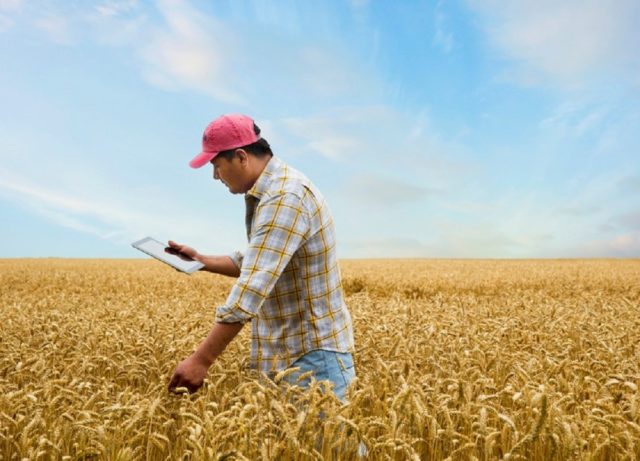 IBM lança programa pro bono ambiental de 2 anos para organizações sem fins lucrativos a nível global